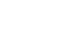 multserv_mono-300x212